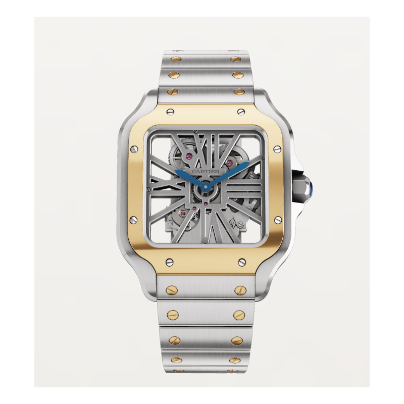 Santos de cartier skeleton watch